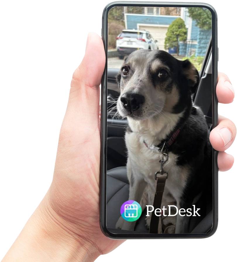 Download Our PetDesk App Today! image